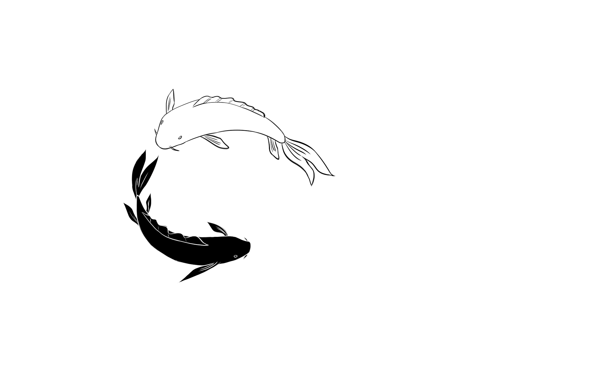 Fondo animado